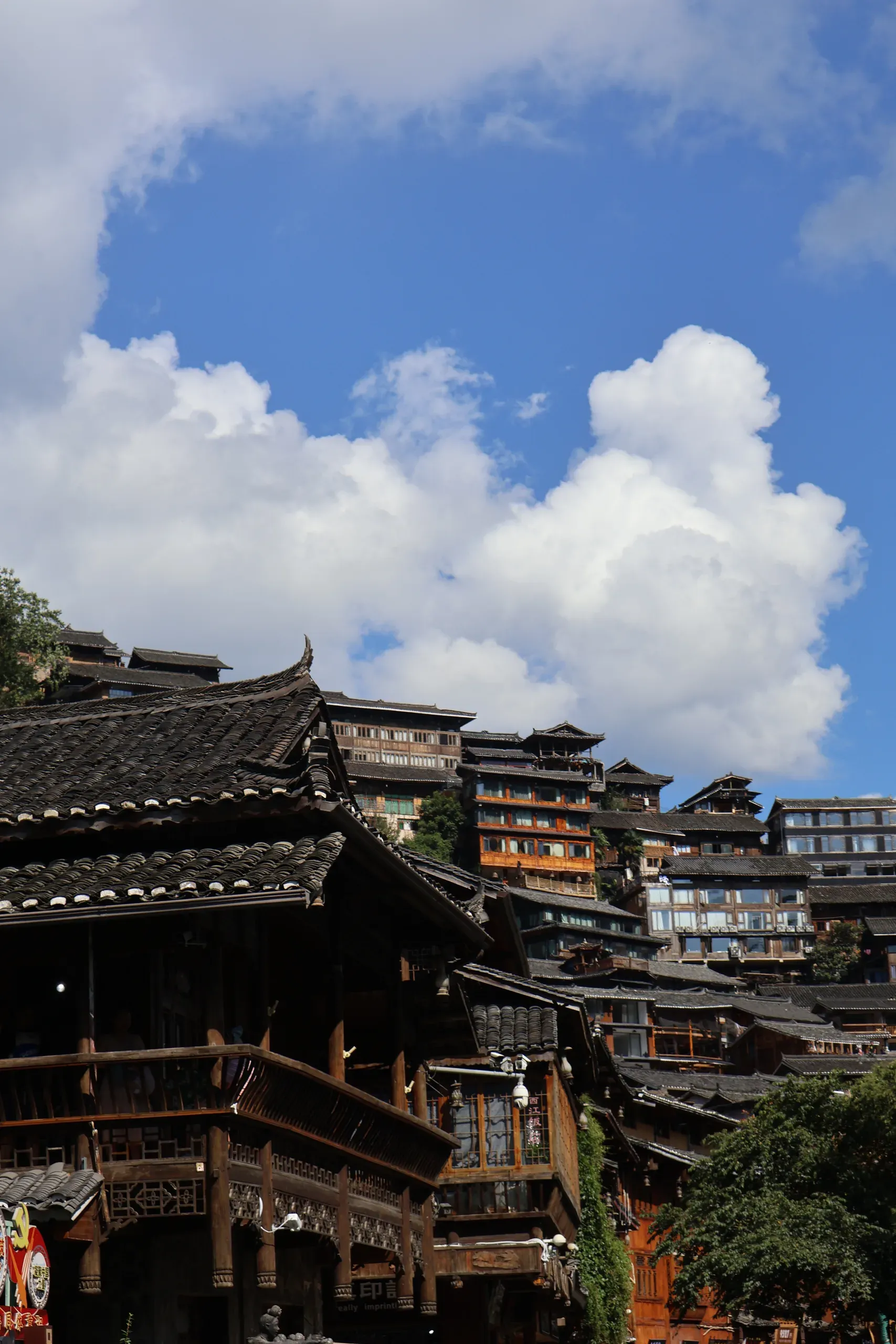 IMG_2608