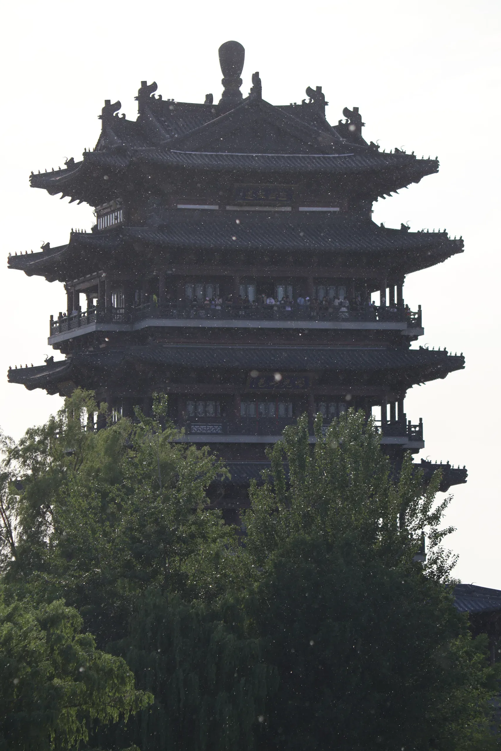 IMG_9638